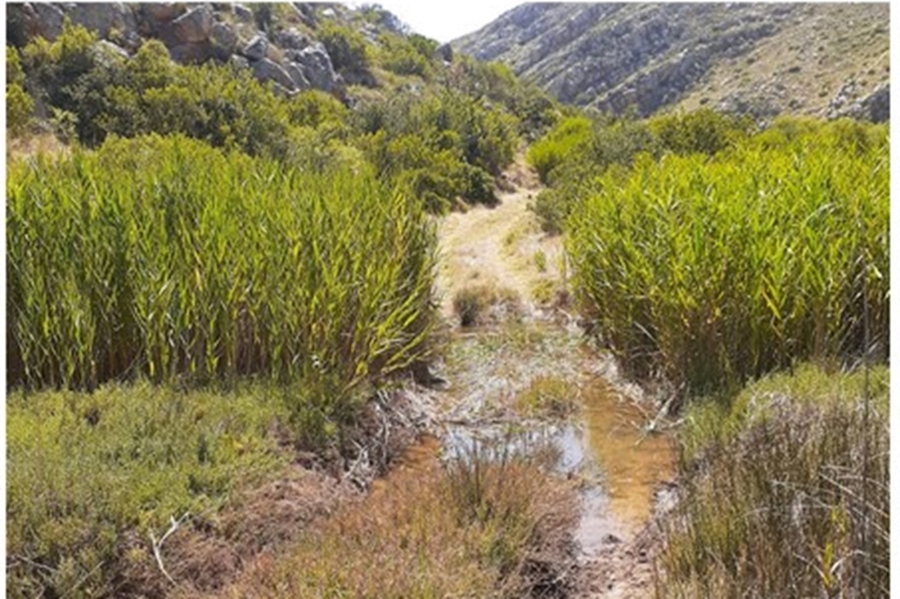 0 Bedroom Property for Sale in Swellendam Western Cape